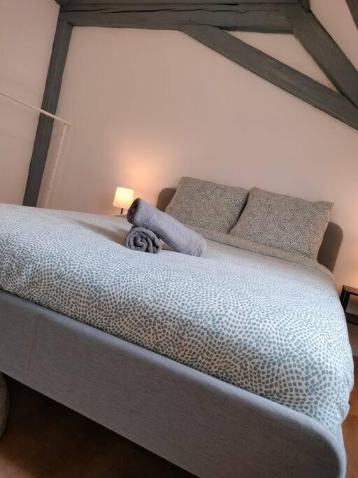 Apartment Le Charme Du Bois-25min Strasbourg Centre-wifi-tv