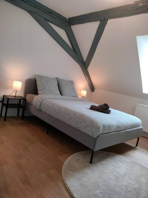 Le Charme Du Bois-25min Strasbourg Centre-wifi-tv Apartment Wasselonne