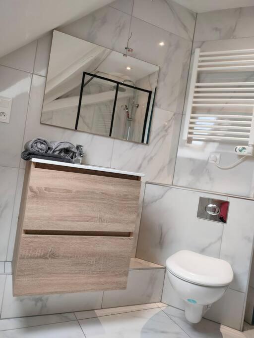 Apartment Le Charme Du Bois-25min Strasbourg Centre-wifi-tv Wasselonne